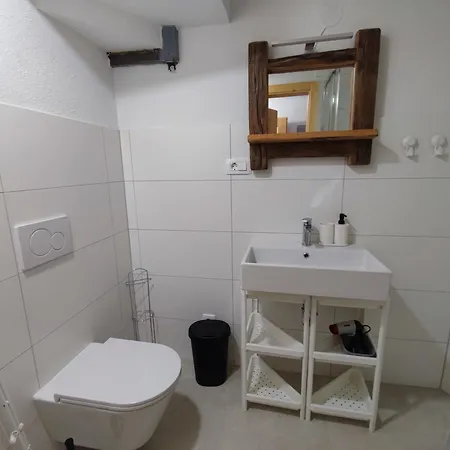 Διαμέρισμα Slovenian House Mira *
