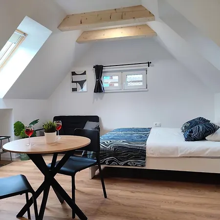 Διαμέρισμα Slovenian House Mira *