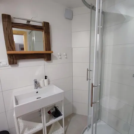 Slovenian House Mira * 지고르니예 고르예