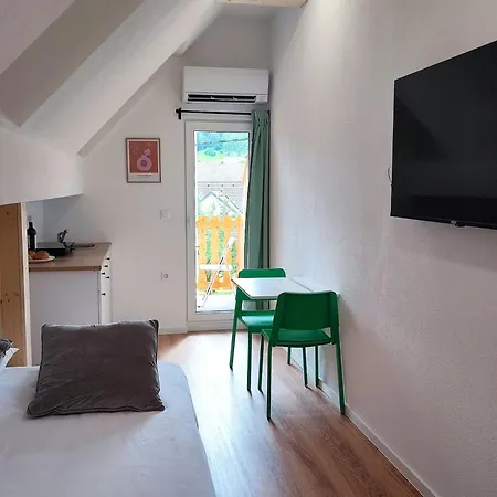 Slovenian House Mira Apartment Zgornje Gorje