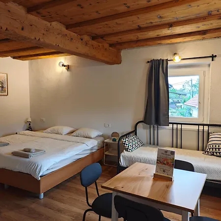 Slovenian House Mira Apartment