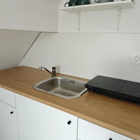 Slovenian House Mira Διαμέρισμα *