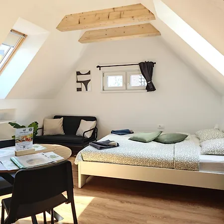 Apartment Slovenian House Mira Zgornje Gorje