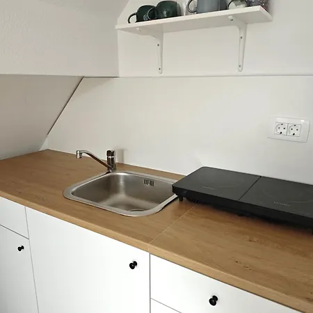 Slovenian House Mira