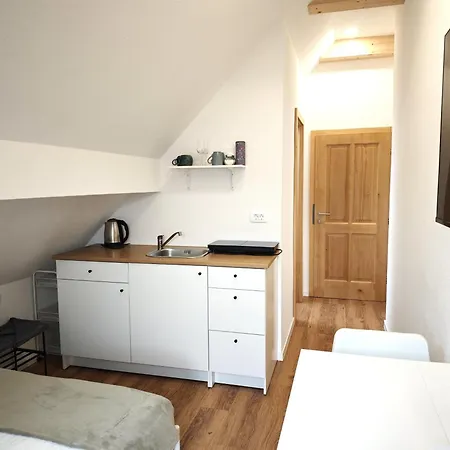 Апартаменты Slovenian House Mira